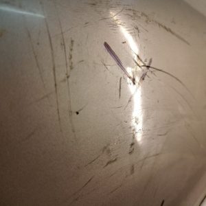 Puerta Trasera Derecha Peugeot 206 (02872314) Lp