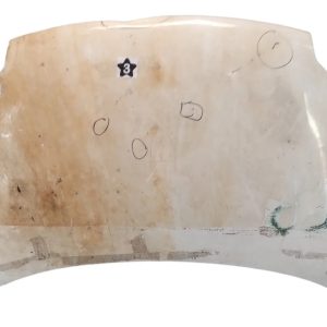 Capot Citroen Berlingo Ln (04423137)