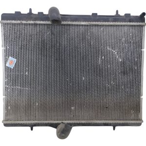 Radiador De Agua Peugeot 308 1.6 (05191204)