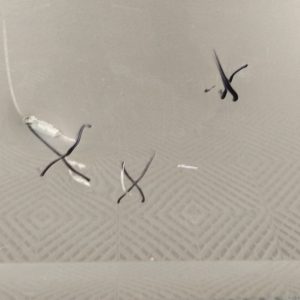 Puerta Delantera Derecha Vw Virtus (05381188)