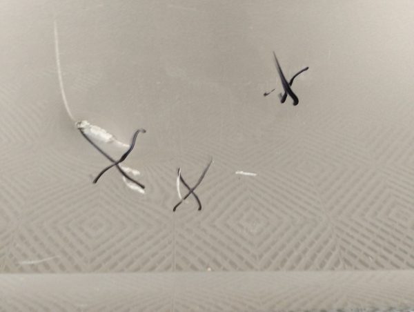 Puerta Delantera Derecha Vw Virtus (05381188)