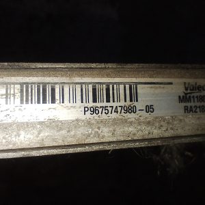 Radiador De Agua Peugeot 3008 1.6 Thp (05925862)