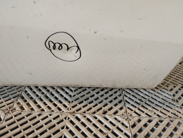 Puerta Trasera Derecha Nissan Note (04688903)