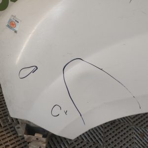 Guardabarro Izquierdo Renault Kangoo Lv (02815961)