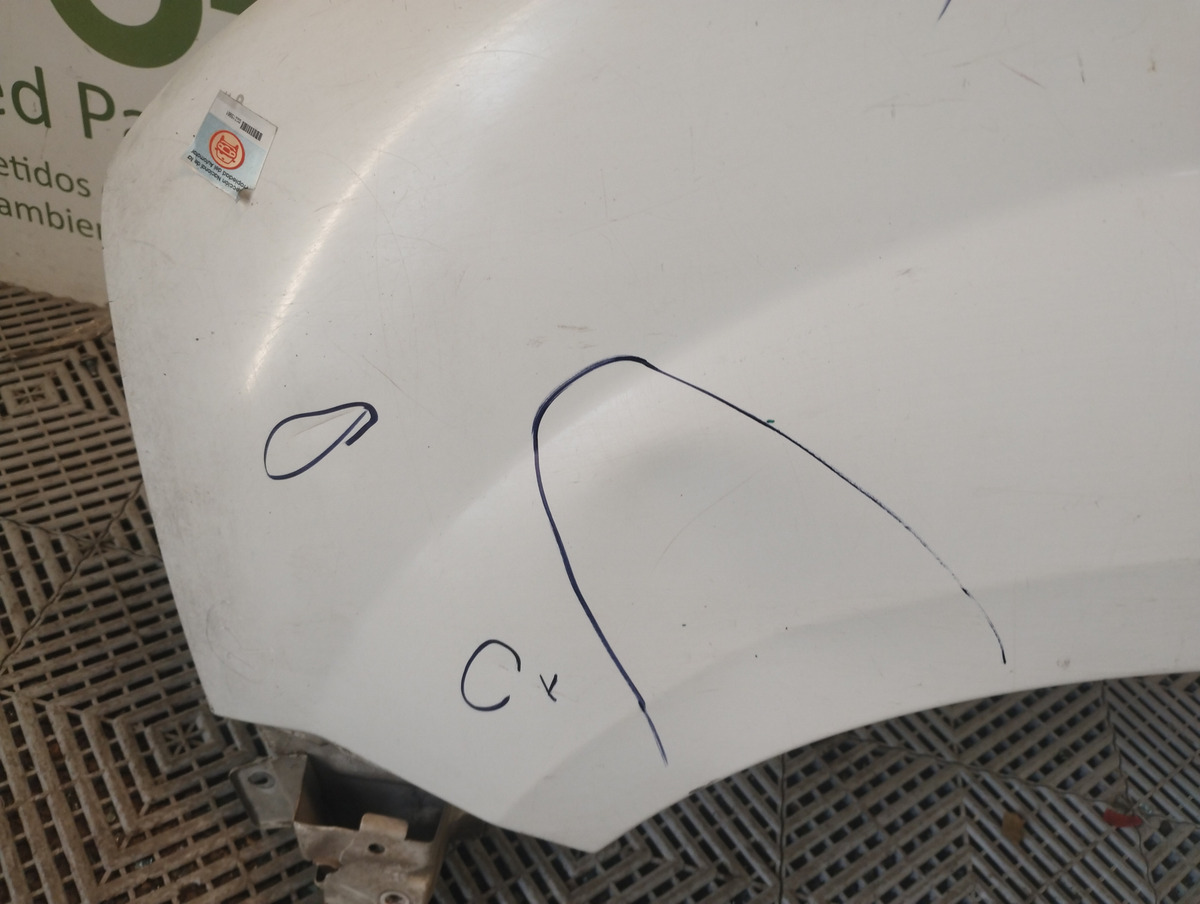Guardabarro Izquierdo Renault Kangoo Lv (02815961)
