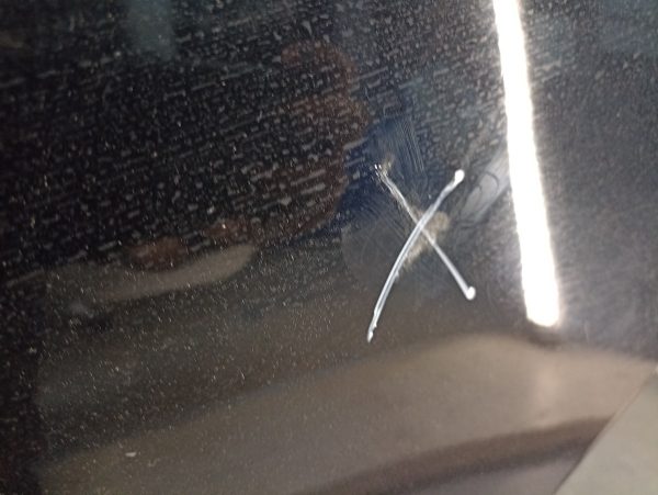 Puerta Trasera Izquierda Citroen C4 4p (04256672)