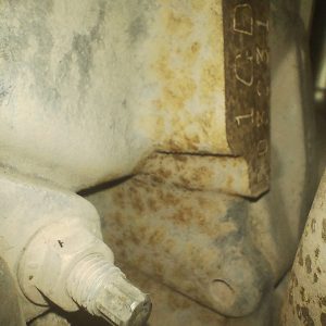 Motor Toyota Hilux 2.8 Tdi 1gd (05123844)