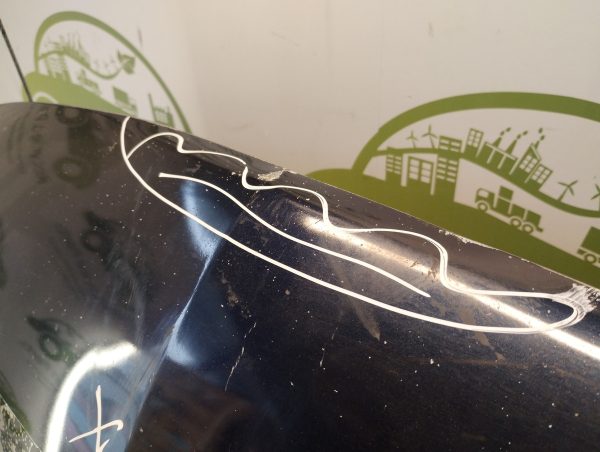 Capot Renault Kangoo Li (05248341)