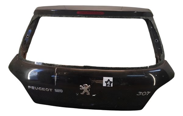 Porton Trasero Peugeot 307 (03293485)