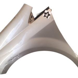 Guardabarro Izquierdo Fiat Punto (01629708)