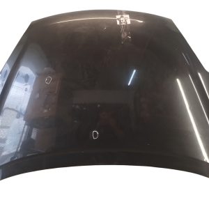 Capot Ford Ka Viral (06670822)