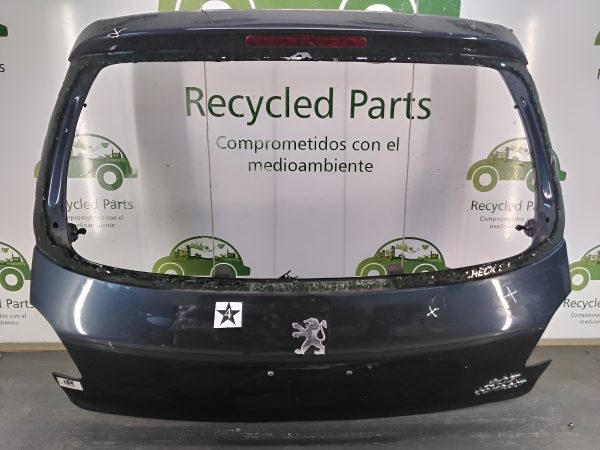 Porton Trasero Peugeot 207 (04236312)