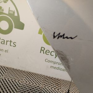 Puerta Trasera Derecha Ford Focus 3 (05076944)