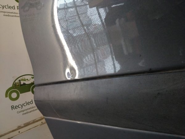 Puerta Delantera Derecha Renault Scenic (04142545)