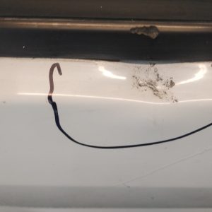 Puerta Trasera Derecha Ford Ecosport (03584373)