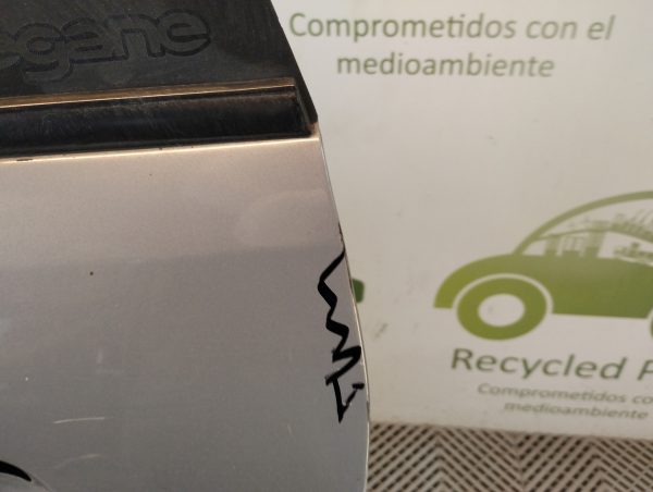 Puerta Trasera Izquierda Renault Scenic (04571683) Lp