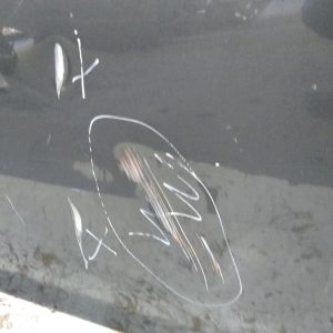 Puerta Delantera Derecha Peugeot 408 (05832880) Lp*