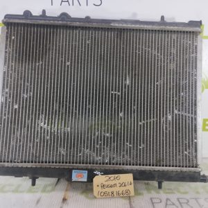 Radiador De Agua Peugeot 206 1.6 (05181668)