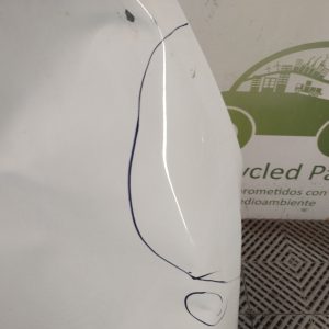 Capot Renault Kangoo Ln (05481902)