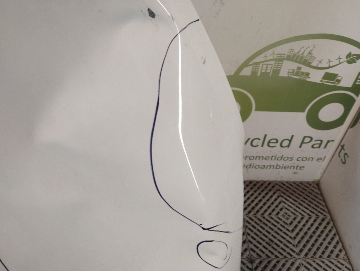 Capot Renault Kangoo Ln (05481902)