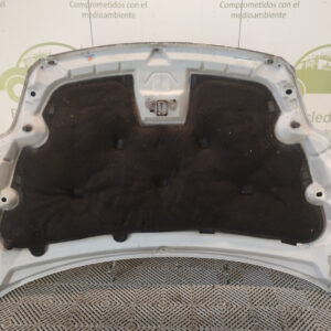 Capot Ford Focus 2 (05906145)