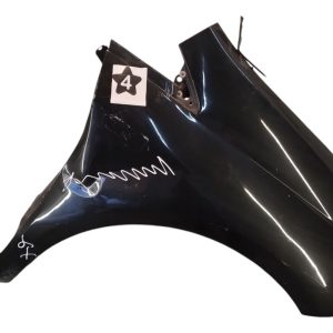 Guardabarro Derecho Fiat Punto (06015309)