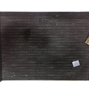 Radiador De Agua Chevrolet Prisma 1.4 (04912383)