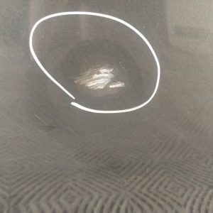 Puerta Delantera Derecha Renault Fluence (06543755)