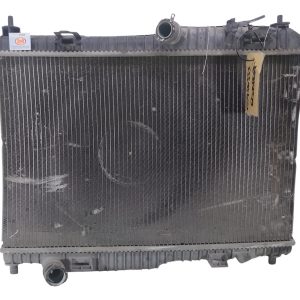 Radiador De Agua Ford Ecosport 1.5 (05956333)