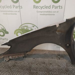 Guardabarro Derecho Renault Megane 1 F1 (06147192)