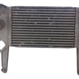 Intercooler Ford Ranger 3.0 (04138138)