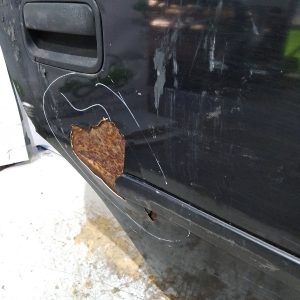 Puerta Trasera Derecha Chevrolet Corsa (02780282) Lp