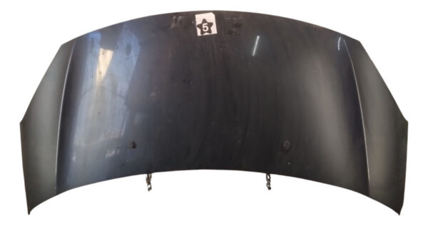 Capot Citroen Nuevo C3 (06038417)