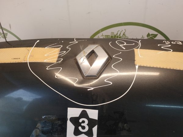 Capot Renault Kangoo Lv (05365422)