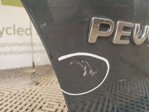 Porton Trasero Peugeot 307 (02889682)