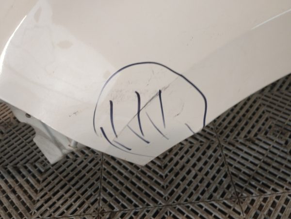 Guardabarro Izquierdo Citroen C4 Picasso Ln (05884896)