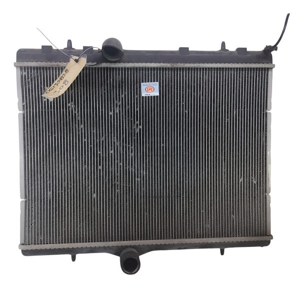 Radiador Peugeot 308 1.6 (06135858)
