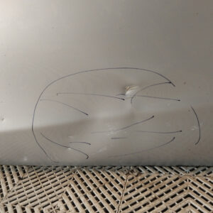 Puerta Trasera Izquierda Toyota Etios 4p (05647935)