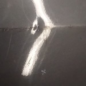 Puerta Trasera Derecha Honda Fit Li (05847691)
