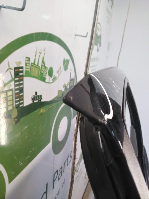 Puerta Trasera Izquierda Renault Scenic (03780681)