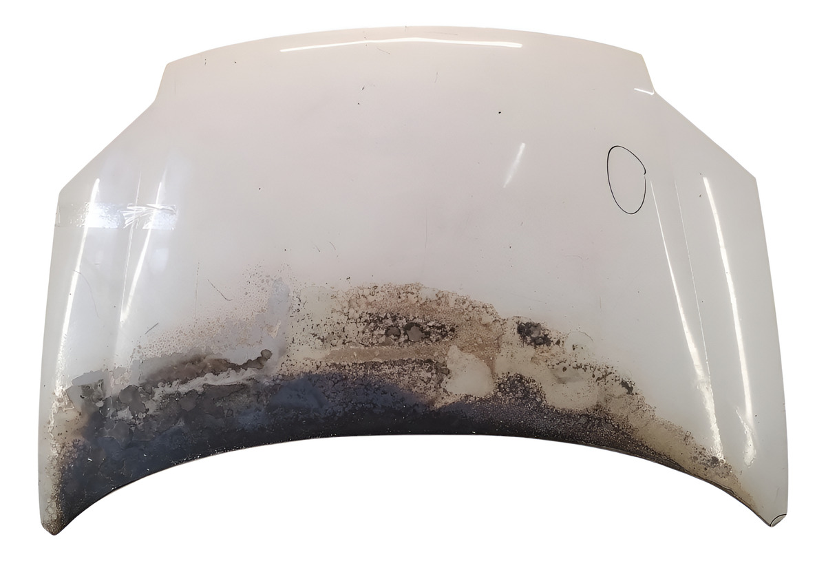 Capot Citroen Berlingo Ln (06682511)