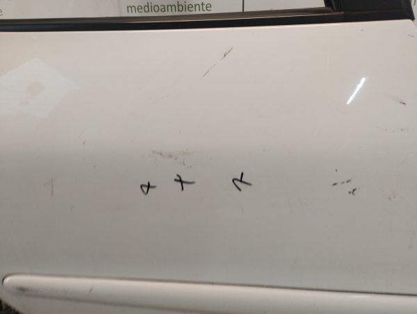 Puerta Trasera Derecha Peugeot 207 (04849021)