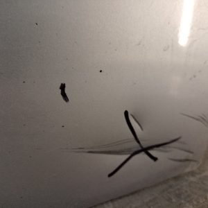 Puerta Delantera Derecha Renault Megane 2 (04079949)