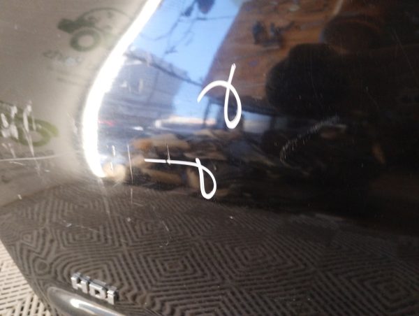 Puerta Delantera Izquierda Peugeot 207 (05503864)