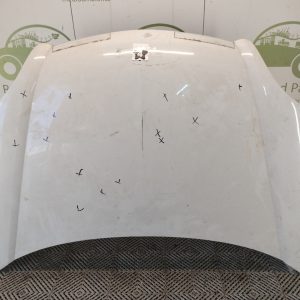 Capot Renault Kangoo Li (06064826)