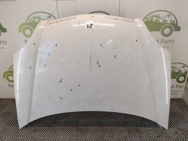 Capot Renault Kangoo Li (06064826)