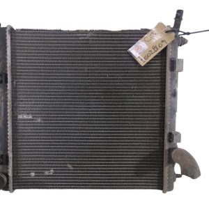 Radiador De Agua Citroen C3 1.6 (06028109)