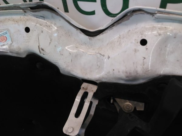 Capot Citroen Nuevo C4 Picasso Ln (04364953)