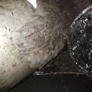 Caja De Velocidades Vw Bora 2.0 (05906685)