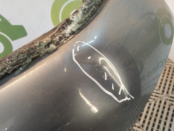 Porton Trasero Peugeot 307 (02889682)